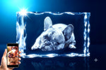 3D crystal notched rectangle photo engraving – pet photo gift, gold-tone display | Crystal 3D Pix