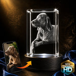 3D crystal rectangle photo engraving – pet photo gift, gold-tone display (alternate) | Crystal 3D Pix