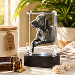 3D crystal rectangle photo engraving – pet photo gift, gold-tone display (alternate) | Crystal 3D Pix