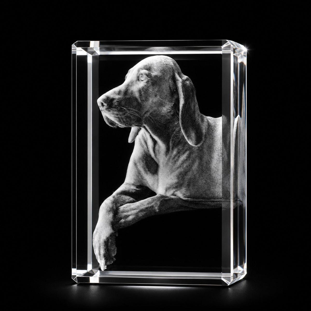 3D crystal rectangle photo engraving – pet photo gift, gold-tone display | Crystal 3D Pix
