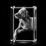 3D crystal rectangle photo engraving – pet photo gift, gold-tone display | Crystal 3D Pix